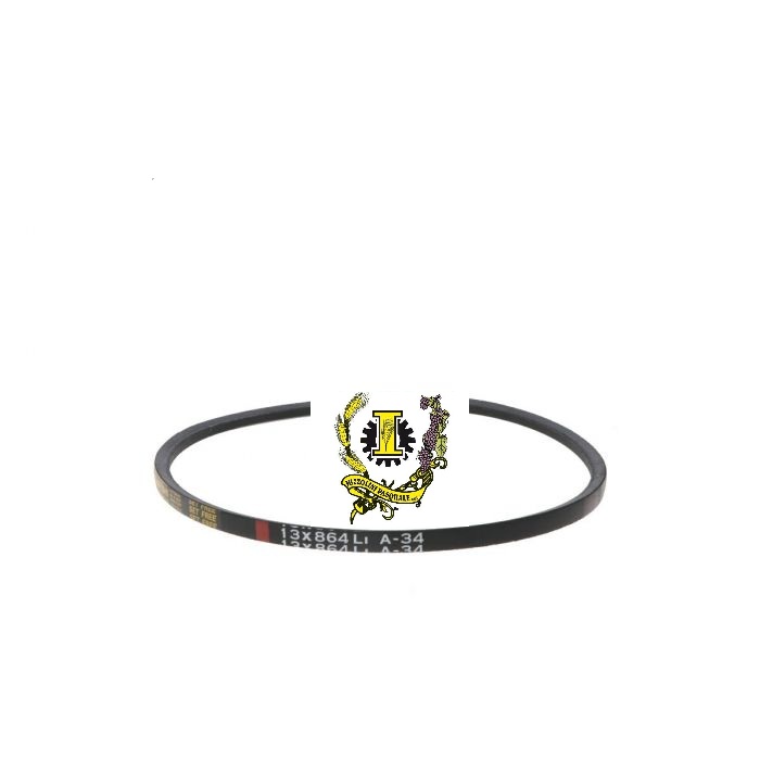 Set 2 Cinghie A51 per Elettropompa DVEP30/30I – Ricambio Originale Alta Qualità