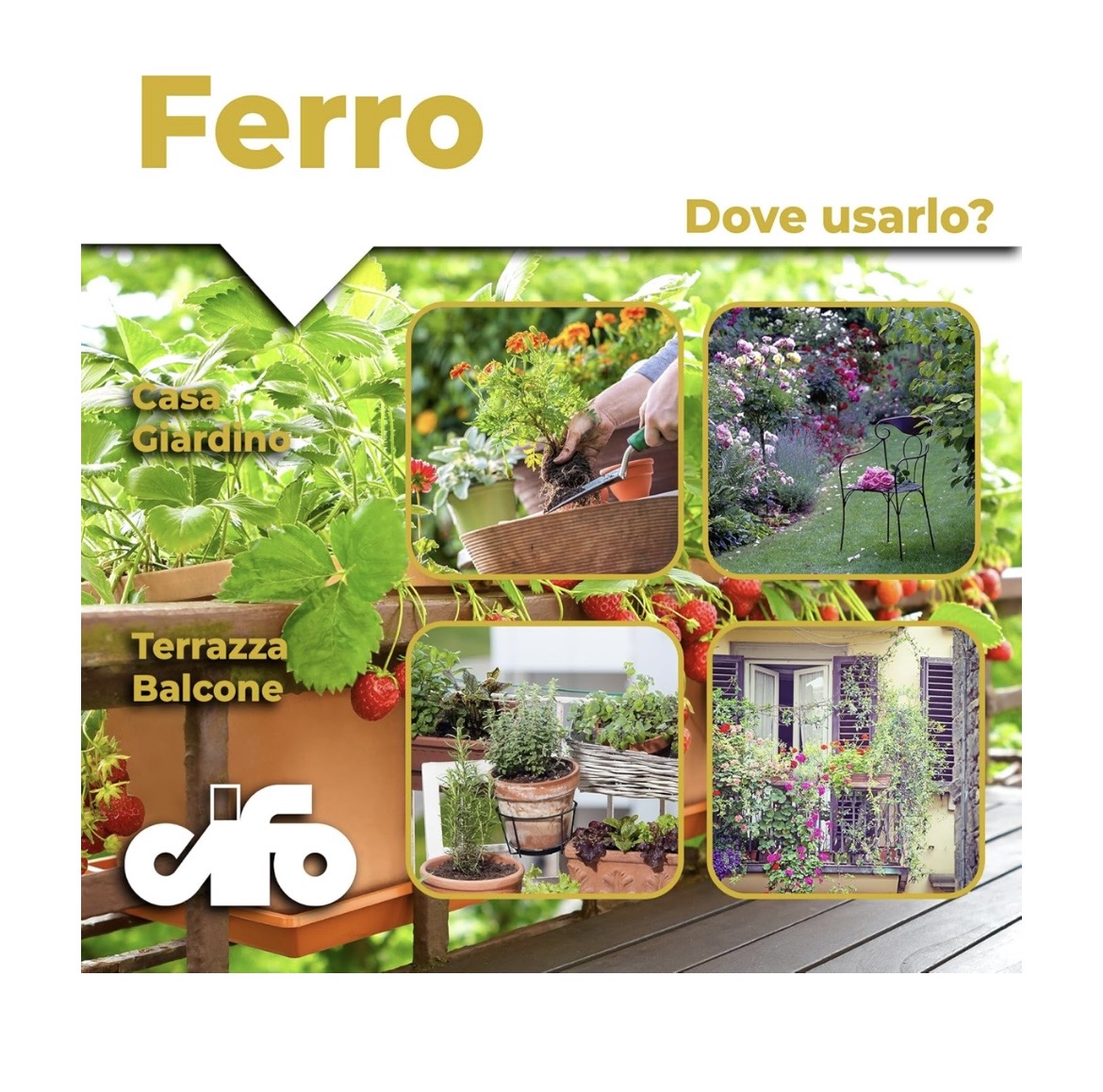 FERRO 