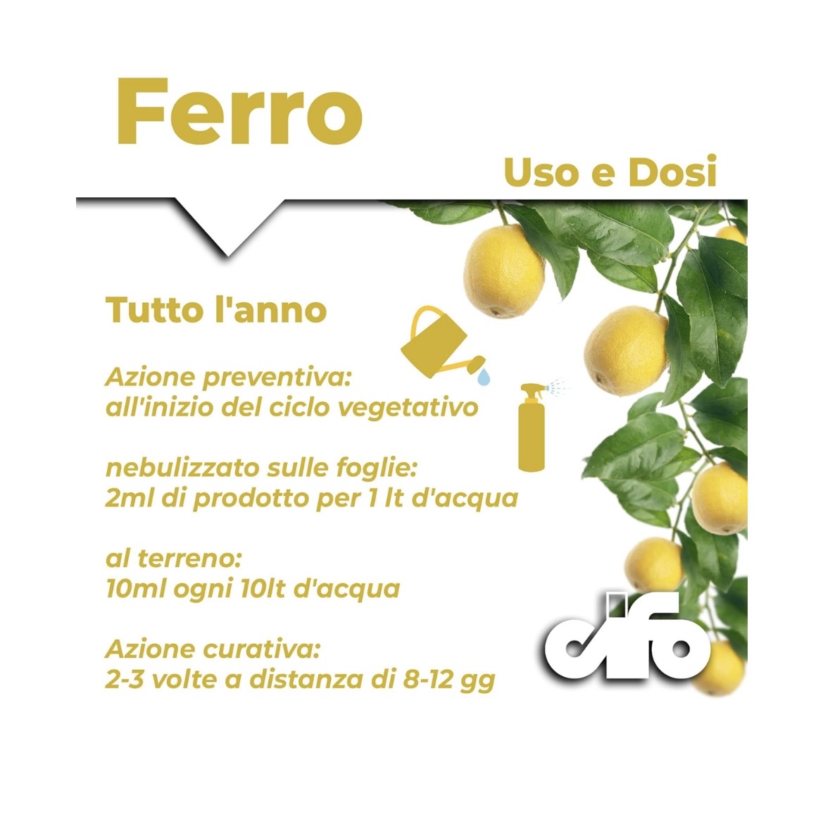 FERRO 