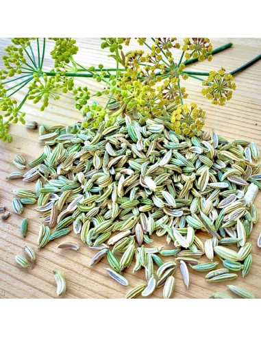 SEMI DI FINOCCHIO BUSTA DA 250 GR