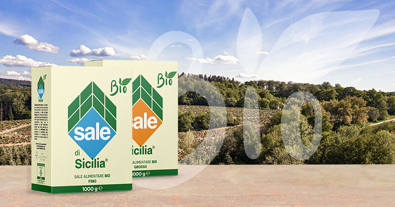 SALE ALIMENTARE BIO FINO CONFEZIONE DA 12