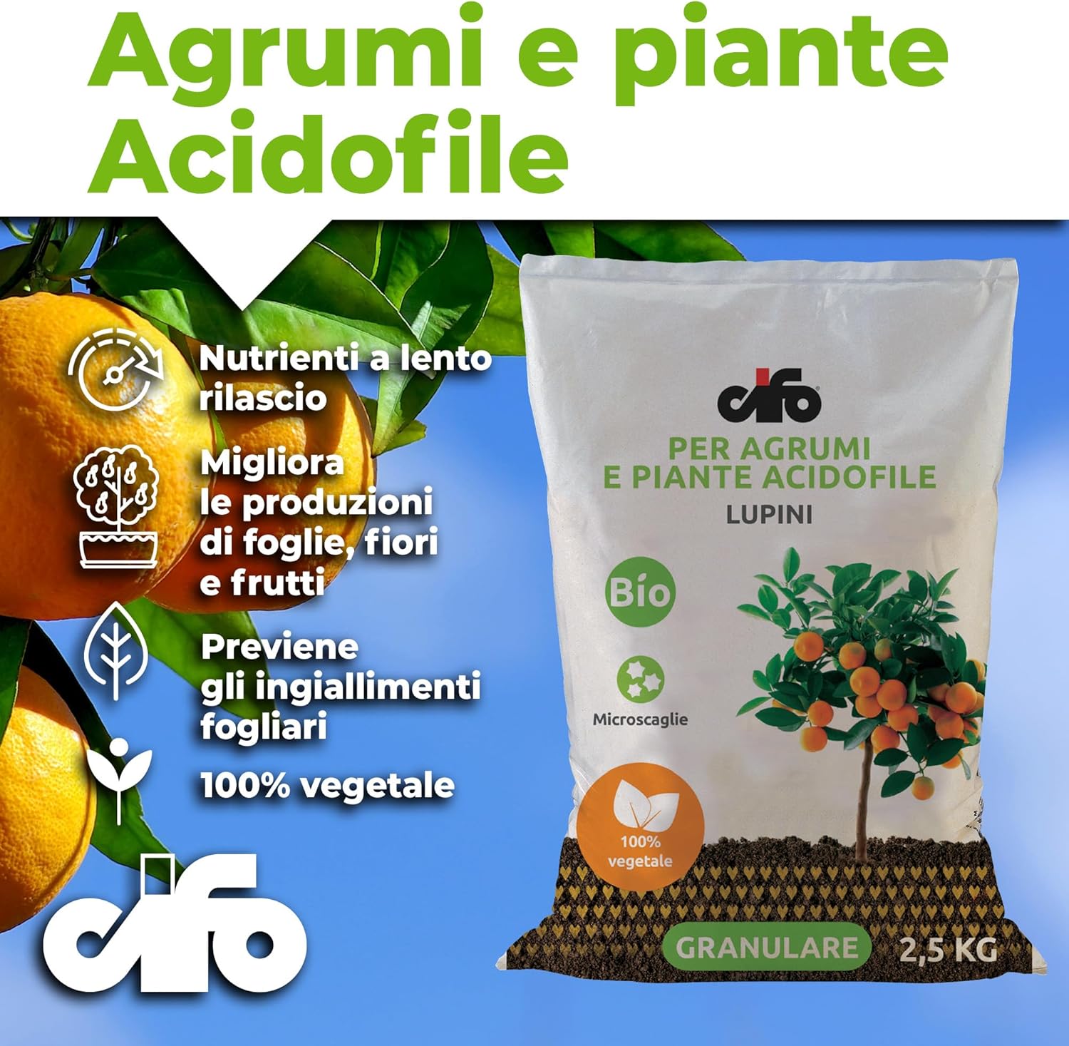 LUPINI CIFO: IL CONCIME NATURALE IDEALE PER AGRUMI E PIANTE ACIDOFILE